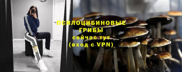 MESCALINE Корсаков