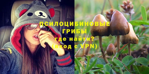 ПСИЛОЦИБИНОВЫЕ ГРИБЫ Тайга